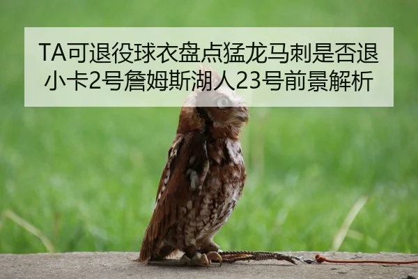 TA可退役球衣盘点猛龙马刺是否退小卡2号詹姆斯湖人23号前景解析